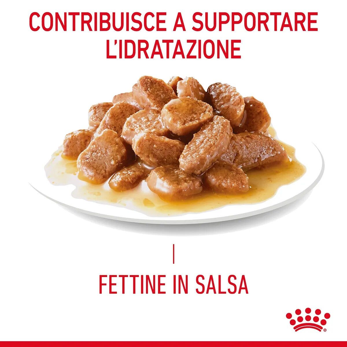 Royal Canin Intense Beauty Gravy Comida Húmeda para Gatos Adultos Sobre 85g-11