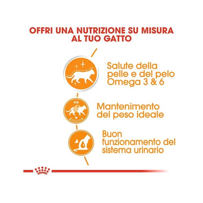 Royal Canin Intense Beauty Gravy Comida Húmeda para Gatos Adultos Sobre 85g-6