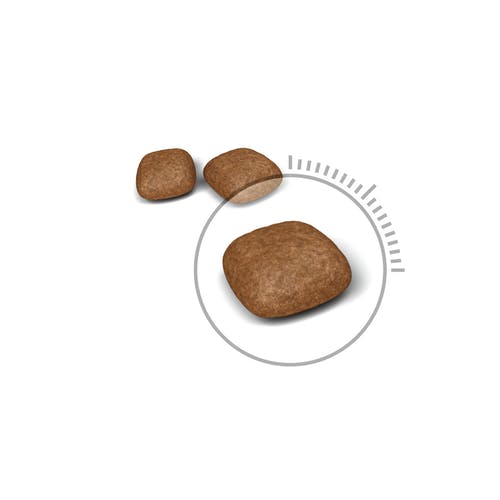 Royal Canin Urinary Care Alimento Seco Para Gatos 400g-3