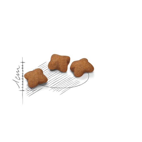 Royal Canin Kitten Sterilized Alimento seco para gatos esterilizados 400g-3