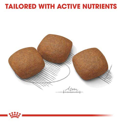 Royal Canin Joint Care Alimento Seco Para Perros Grandes Bolsa 3kg-3