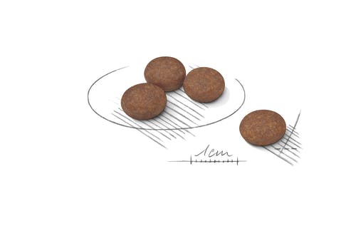Royal Canin Digestive Care Comida Seca para Perros Mini Bolsa 1kg-3