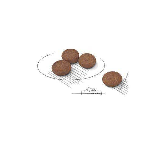 Royal Canin Cuidado Digestivo Croquetas Para Perros Mini Bolsa 3kg-3