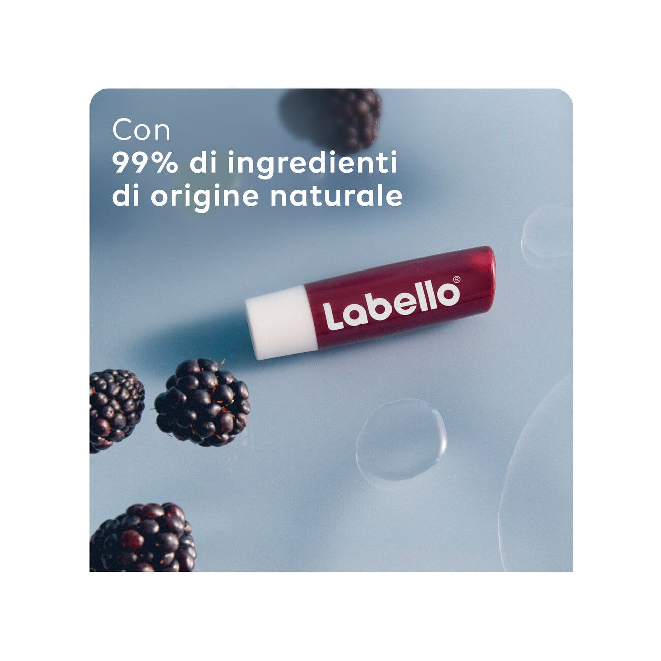 Labello Blackberry Shine 1 Pieza-3