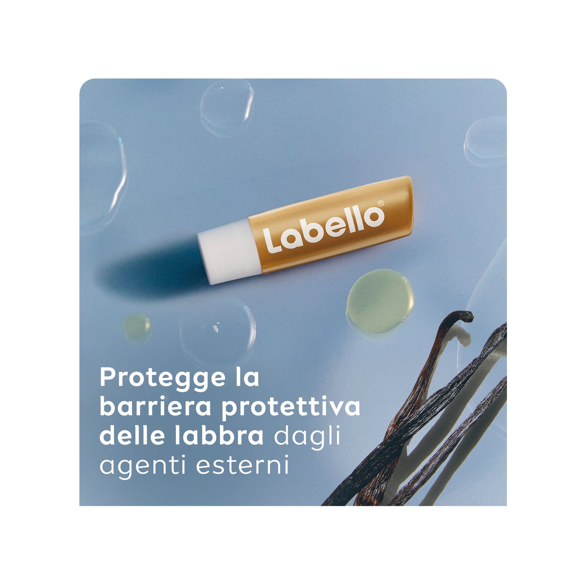 Crema de Mantequilla Vainilla Labello 5.5ml-3