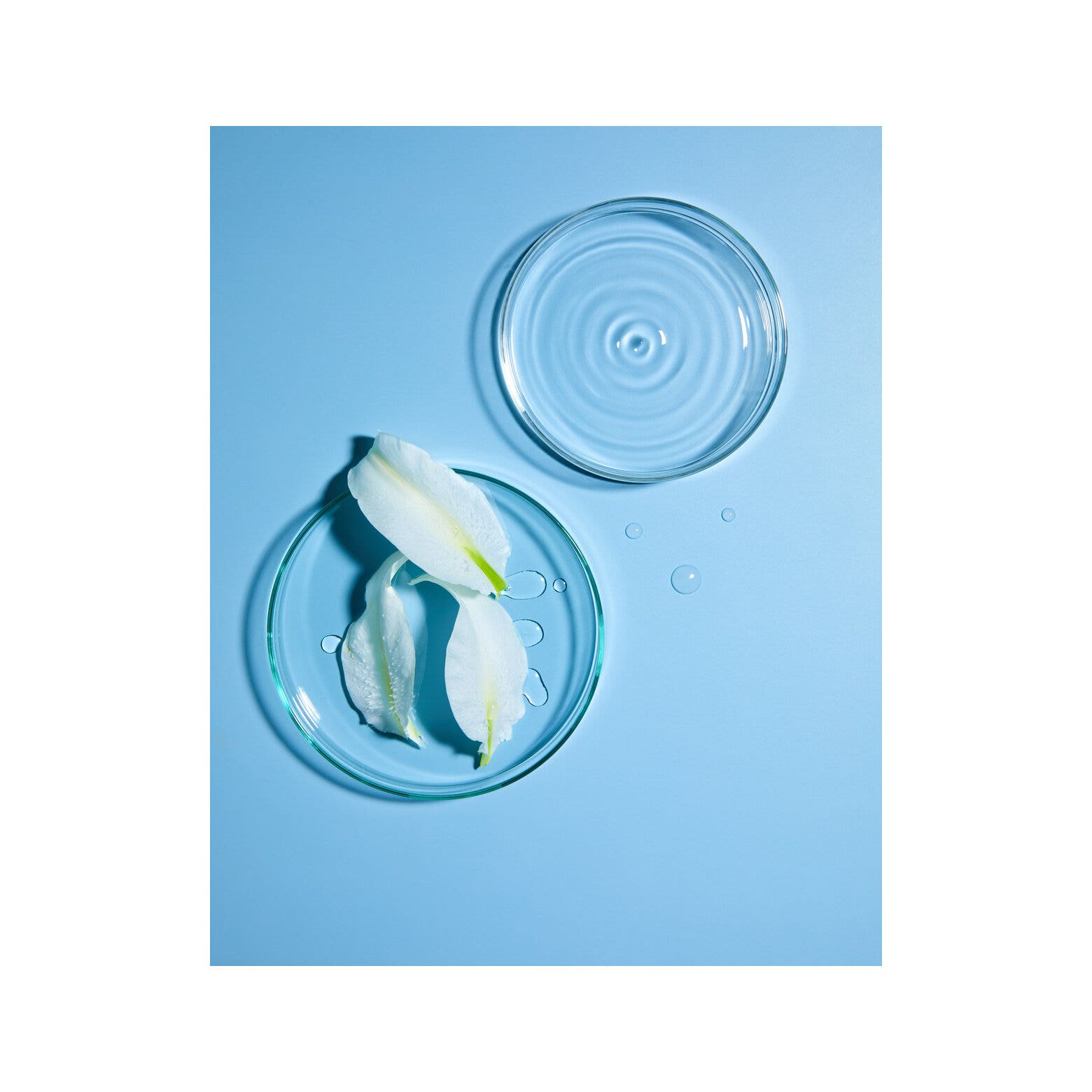 Nivea 2 En 1 Leche Limpiadora + Tónico 200ml-6