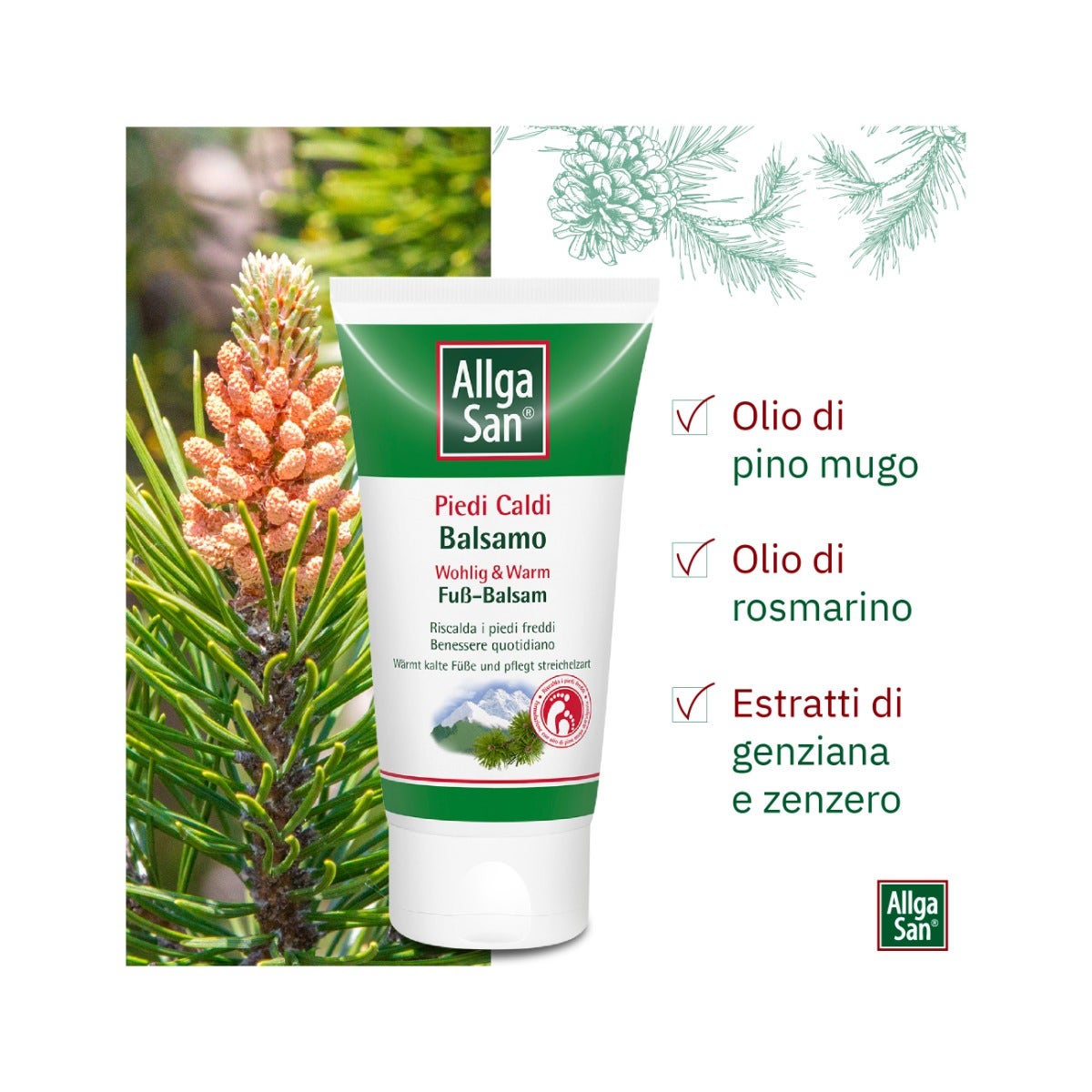 Allgasan Pies Calientes 75ml-2