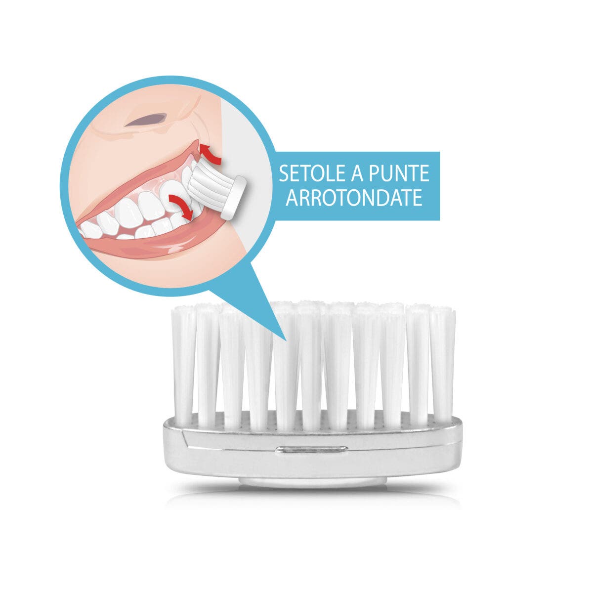 Silvercare Recambio Cepillo de Dientes Mediano 2 Piezas-2