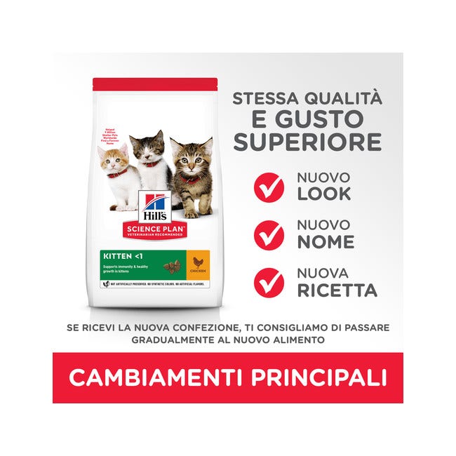 Hill's Science Plan Kitten Croquetas con pollo para gatitos, bolsa de 300 g