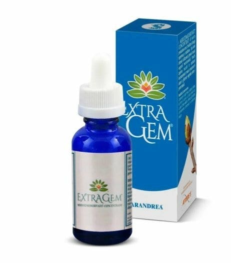 GEMAS DE ABEDUL BLANCO EXTRAGEM-1