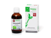 Fitomedical Ippocastano Macerato Glicerico Bio 1000ml