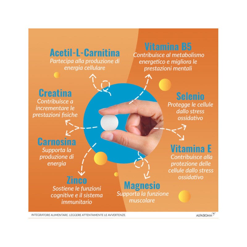 Carnidyn Plus 18 Comprimidos Masticables-12