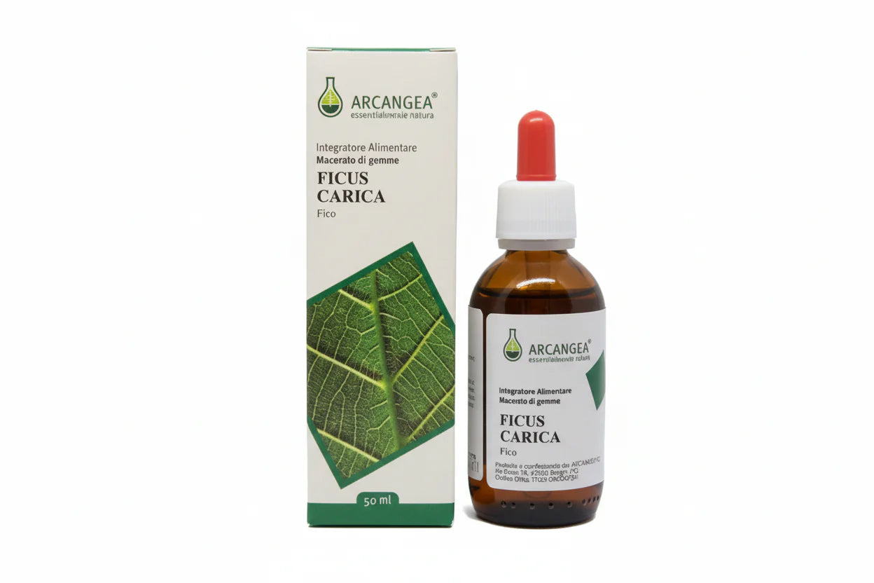 Arcangea Ficus Carica Bio 33 Extracto de yema 50 ml