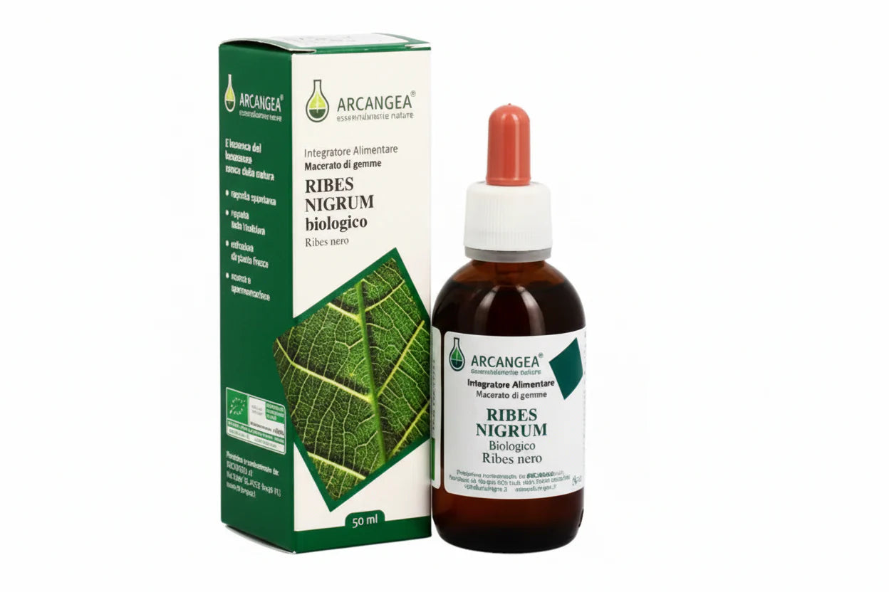 Arcangea Ribes Nigrum Bio Extracto de yema 33 grados 50 ml