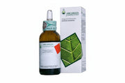 Arcangea Betula Verrucosa Semillas, extracto de yema, 33, 50 ml