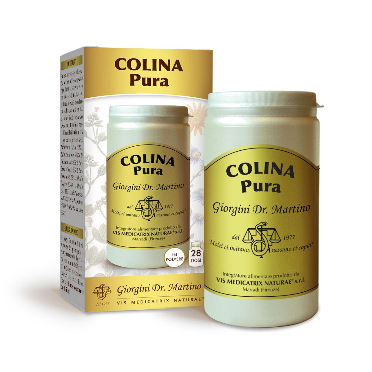 Dr.Giorgini Colina Puro Polvo Soluble 100 g