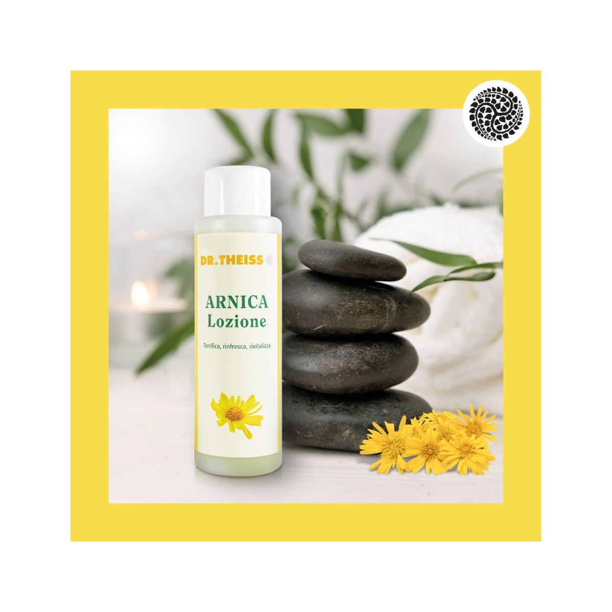 Dr. Theiss Loción de Árnica 250 ml