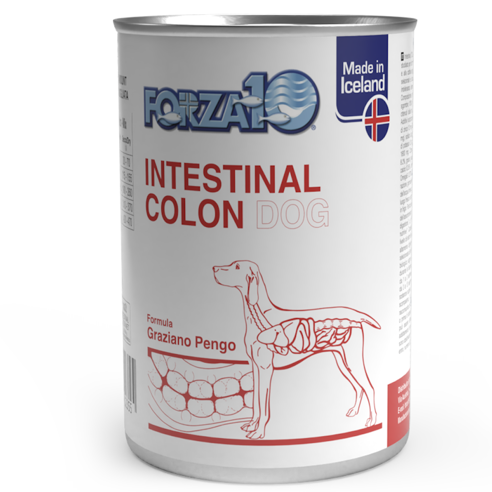 Forza10 Actiwet Intestinal Colon Comida húmeda para perros adultos, tarro de 390 g