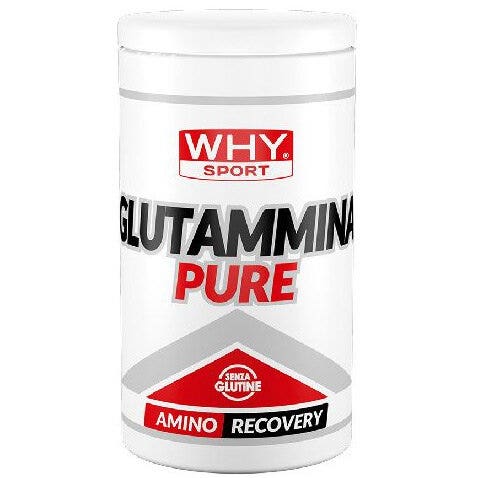 Why Sport Glutammina Pure 500g