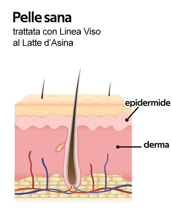 Lr Wonder Siero Madre Viso Latte D'Asina 30ml