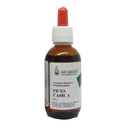 Arcangea Ficus Carica Bio 33 grados, extracto de yema 100 ml