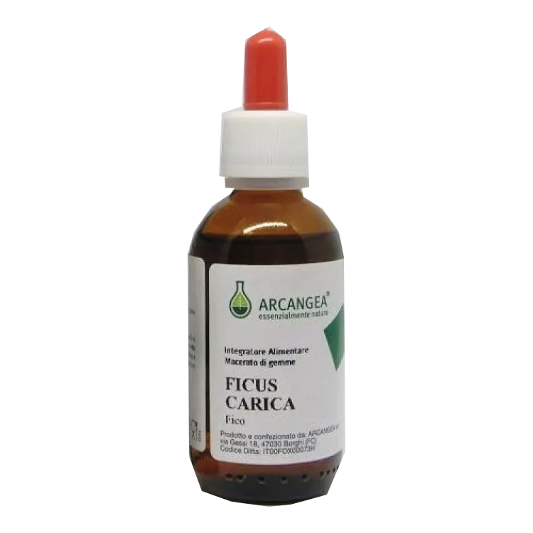 Arcangea Ficus Carica Bio 33 grados, extracto de yema 100 ml