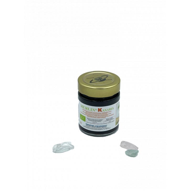 Vegetal Progress Merlin Kanaria, savia de palma ecológica, 170 g