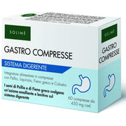 Gastro Comprimidos 60 Comprimidos