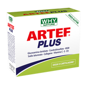 Whynature Artef Plus 24 sobres