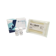 Bfactory Vexoderm Apósito estéril 10 x 7 cm + 2 viales de 10 ml