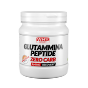 Whysport Glutammina Peptide Zero Carb Pesca 330g