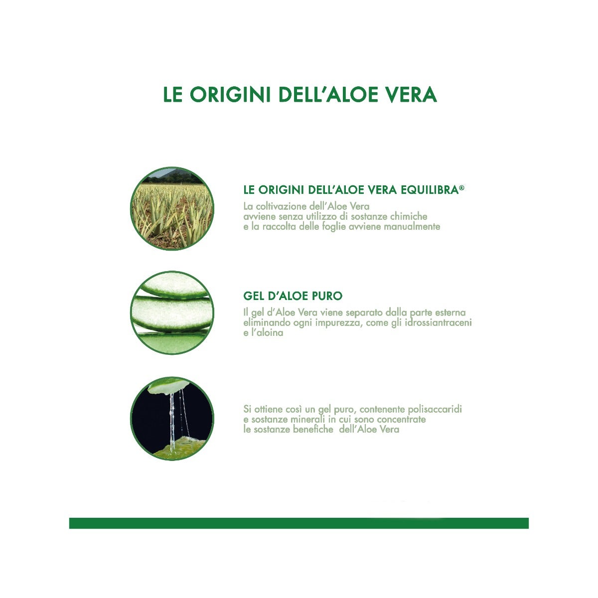 Equilibra Aloe Vera Digest Con Zenzero 1 Litro