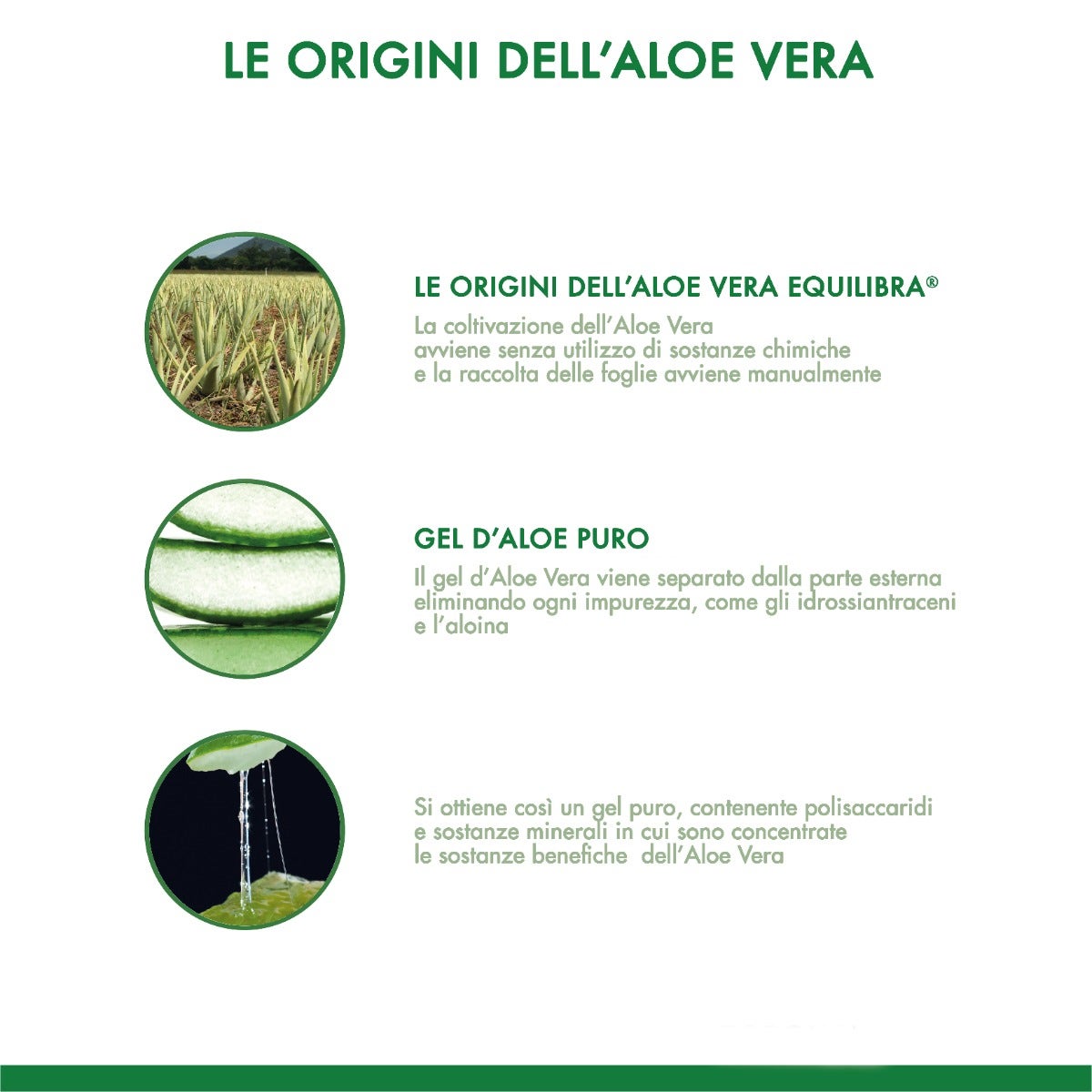 Equilibra Aloe Vera Extra 99,5% 1000ml
