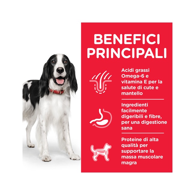 Hill's Science Plan Bocaditos de pollo para perros adultos, lata de 370 g