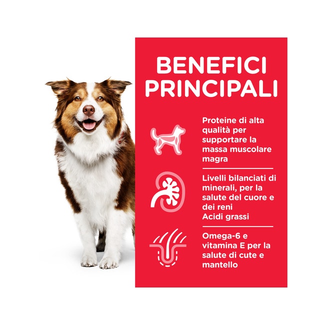Hill's Science Plan Mature Bocconcini Pollo Per Cani Adulti Lattina 370g
