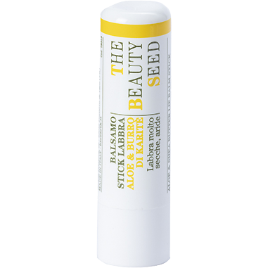 Bioearth Balsamo Stick Labbra Aloe E Burro Di Karitè 1 Pezzo