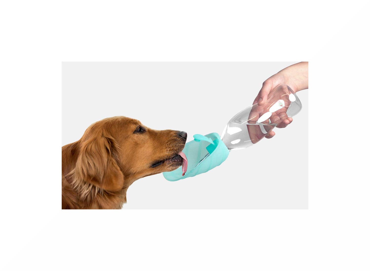 United Pets Dispensador de agua de viaje Leaf de silicona color verde agua para perros
