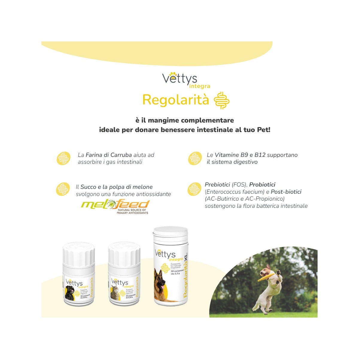 Vettys Integra Regolarità Per Cani 30 Compresse