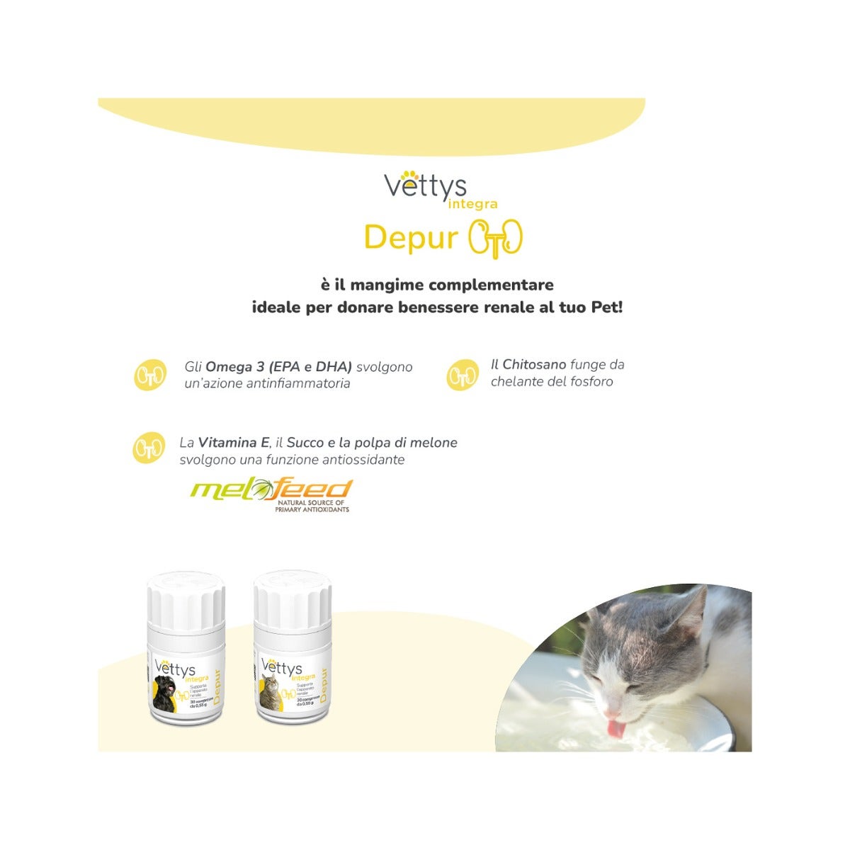 Vettys Integra Depur Per Cani 30 Compresse