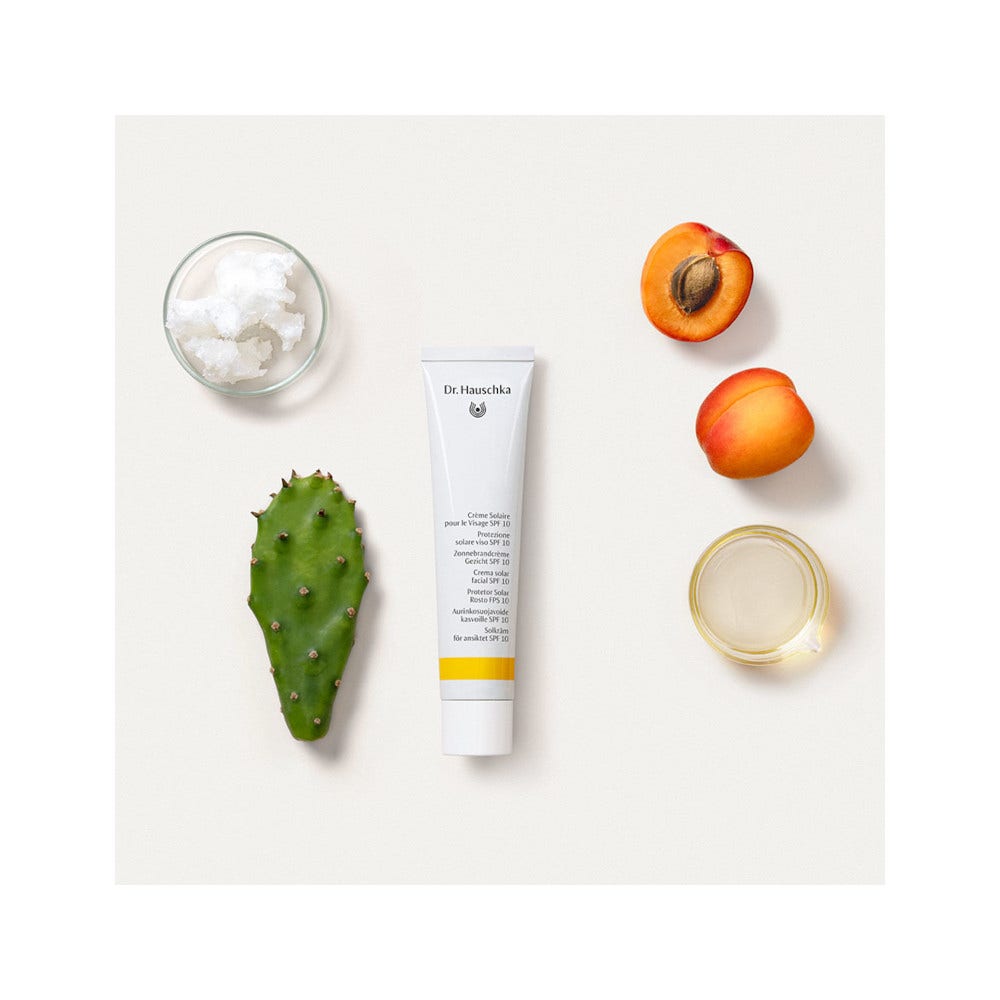 Dr. Hauschka Protezione Solare Colorata SPF 10 Viso 40ml