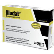 Gludat 20 comprimidos gastrorresistentes