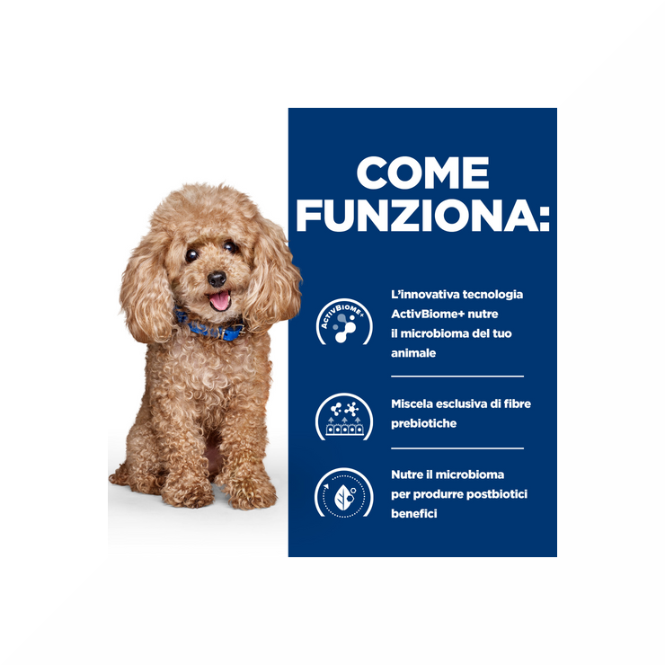 Hill's Prescription Diet Gastrointestinal Biome Pienso para perros de raza pequeña, saco de 1 kg