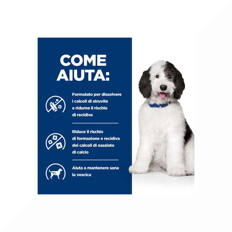 Hill's Prescription Diet C/D Multicare Urinary Care Crocchette Di Pollo Per Cani Sacco 4 Kg