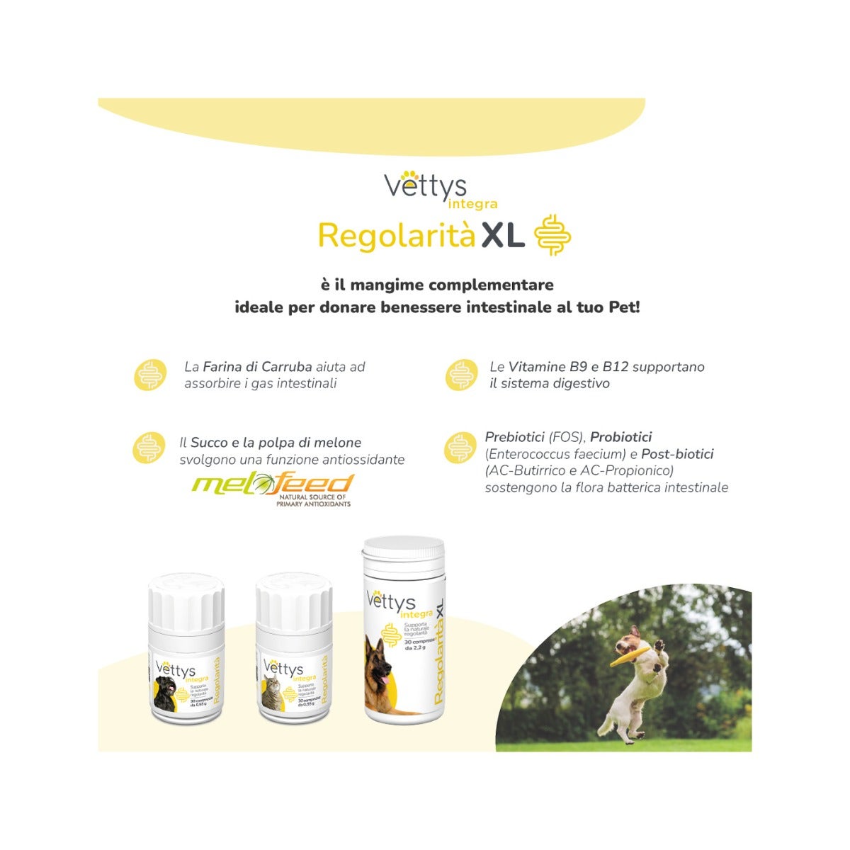 Vettys Integra Regolarità Per Cani Taglia XL 30 Compresse
