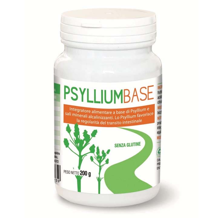 Psyllium Base en Polvo 200 g