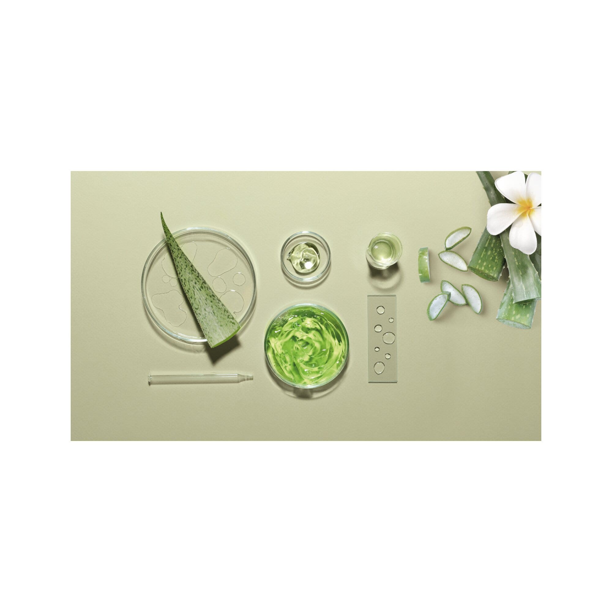 Herbatint Color Safe Champú Protector del Color 260 ml