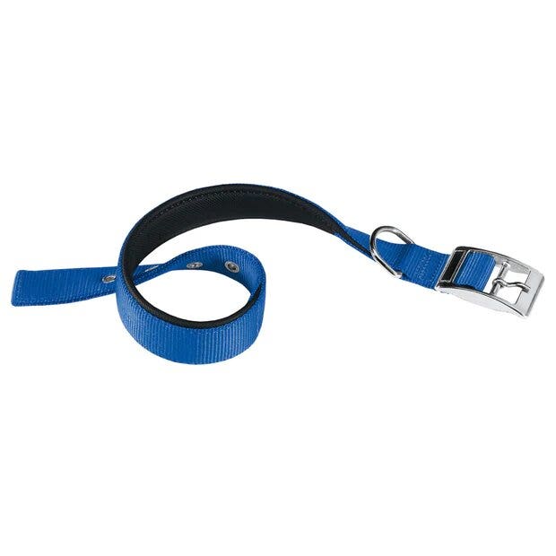 Ferplast Daytona C Collare In Nylon Con Soffice Imbottitura Blu Per Cani C30/55