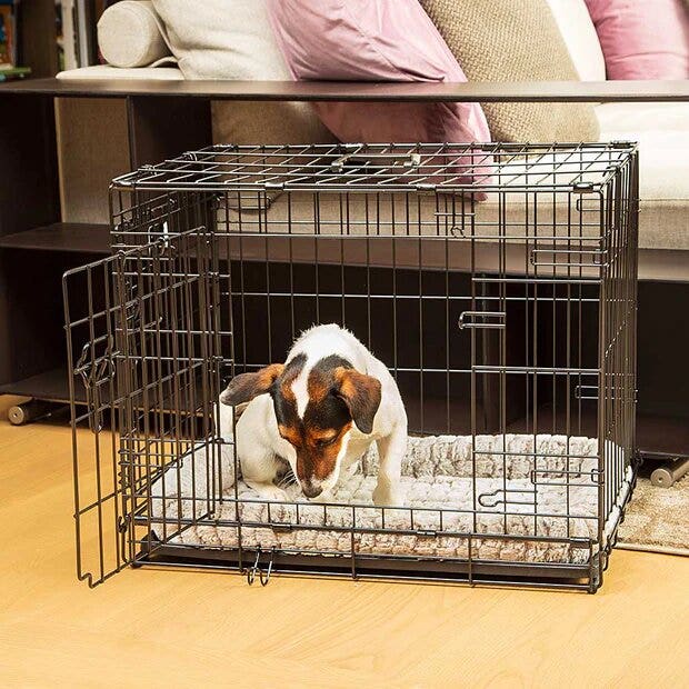 Ferplast Dog Inn Box Pieghevole Per Cani Taglia 60