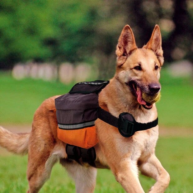 Ferplast Dog Scout Zaino Per Cani Di Taglia Media E Grande