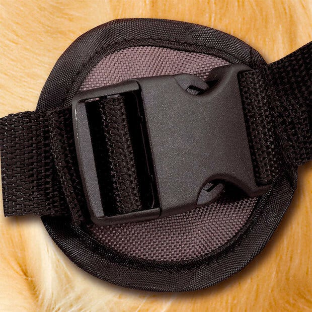 Ferplast Dog Scout Zaino Per Cani Di Taglia Media E Grande
